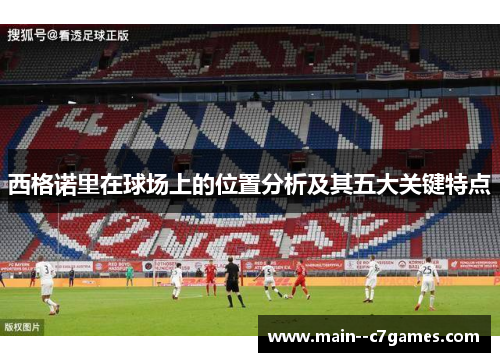 西格诺里在球场上的位置分析及其五大关键特点 西格诺里在球场上的位置分析及其五大关键特点